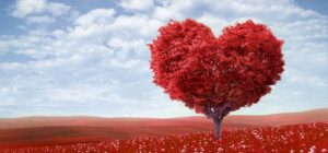 Gerçek Sevgi: Kendi Dengesini Fısıldayan Duygu