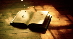 Kelimelerin Yankısı